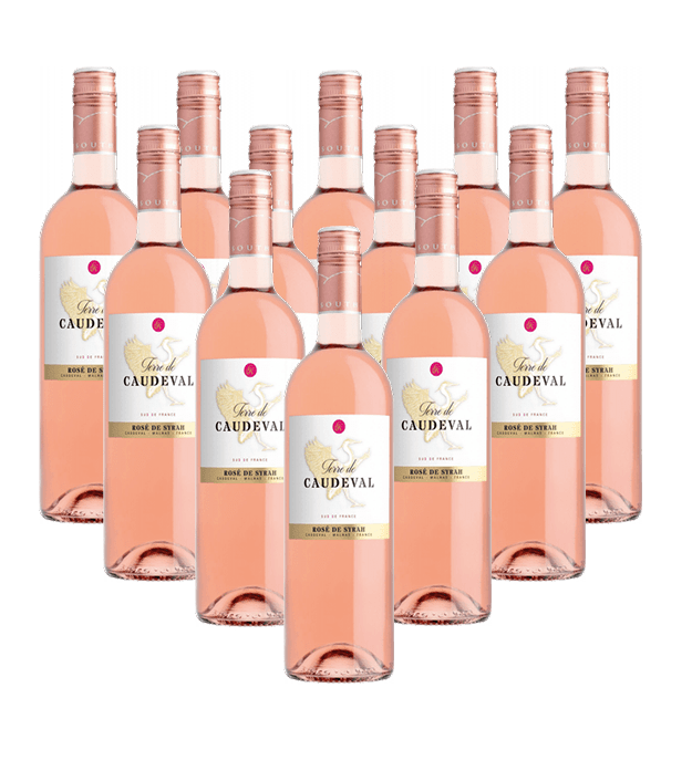 Caude Val Syrah Rosé IGP Paul Mas Frankreich 12er Angebot Caude Val Syrah Rosé IGP Paul Mas Frankreich 12er Angebot