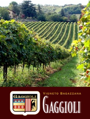 Azienda Gaggioli