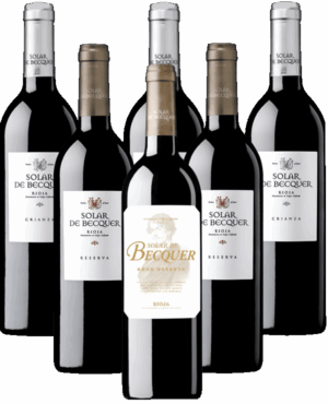 Escudero Solar de Becquer Rioja Tintos 6er Angebot Escudero Solar de Becquer Rioja Tintos 6er Angebot