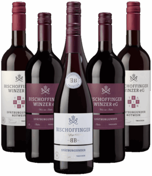 Bischoffinger Spätburgunder Probierpaket Rotwein Kaiserstuhl 6er Angebot
