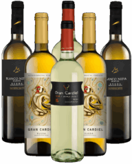 Rueda Blancos Probierpaket Weißwein Spanien 6er Angebot