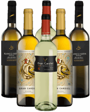 Blancos de Rueda Probierpaket Weißweine aus Spanien 6er Angebot
