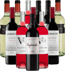 Probierpaket Spanien Die Bodega Lieblinge 12er Angebot