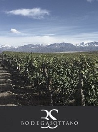 Bodega Sottano