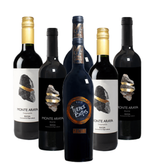 Del Medievo Rioja Probierpaket Rotweine aus Spanien 6er Angebot