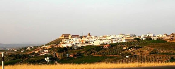 Vinas de Alange Alvear
