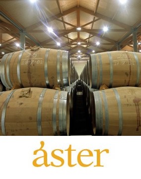 Bodegas Aster