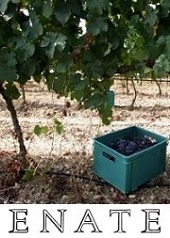 Bodegas Enate