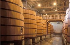 Bodegas Roda