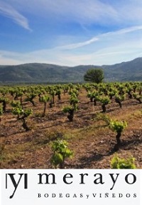 Bodegas Merayo