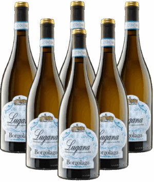 Borgolago Lugana Bianco 6er Weinpaket Delibori 2025 DOC Italien