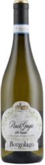 Borgolago Pinot Grigiot Bianco DOC Delibori Italien