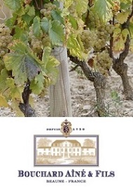 Bouchard Aîné & Fils