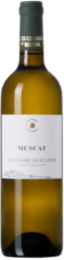 Bourdic Muscat Blanc Petit Grains IGP Languedoc Frankreich