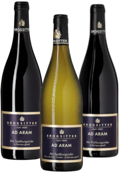 Brogsitter Ad Aram Probierpaket Ahr-Burgunder 3er Angebot Brogsitter Ad Aram Probierpaket Ahr-Burgunder 3er Angebot