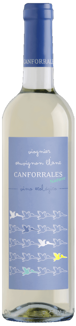 Canforrales Ecologico Blanco La Mancha 2025 Spanien BIO