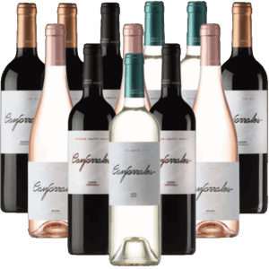 Canforrales Probierpaket La Mancha Weine aus Spanien 12er Angebot
