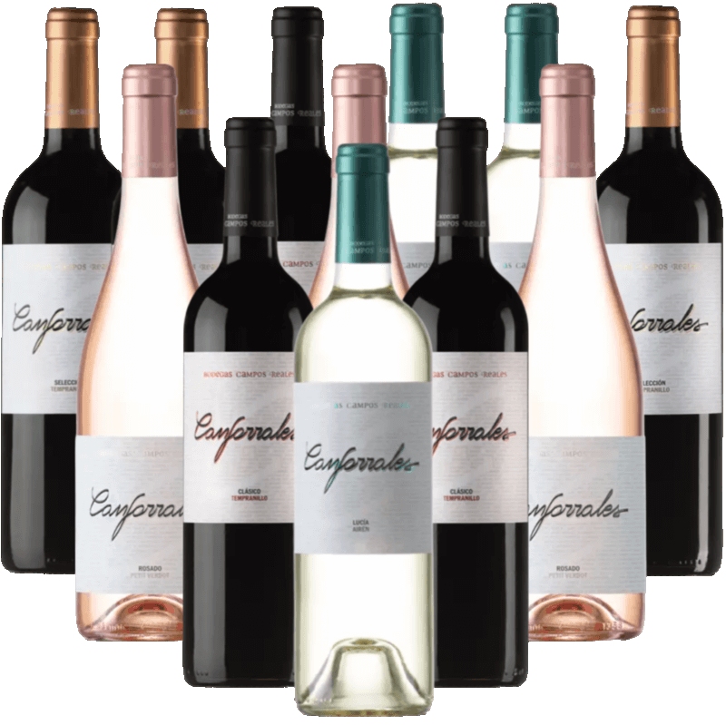 Canforrales Probierpaket La Mancha Spanien 12er Angebot Canforrales Probierpaket La Mancha Spanien 12er Angebot