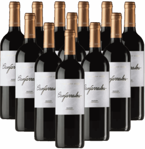 Canforrales Seleccion Tempranillo 12er Weinpaket La Mancha 2023 Spanien