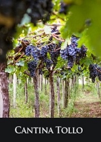 Cantina Tollo
