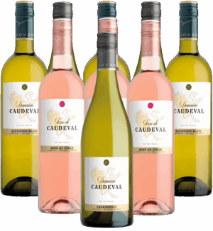 Paul Mas Probierpaket Caude Val Weine Frankreich 9er Angebot