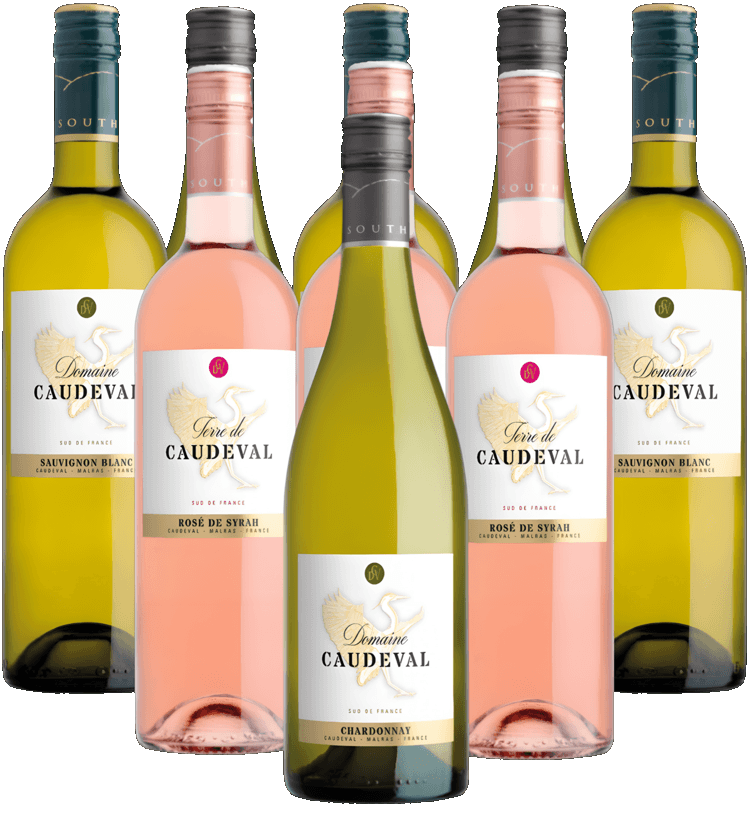 Paul Mas Probierpaket Caude Val Weine Frankreich 9er Angebot Paul Mas Probierpaket Caude Val Weine Frankreich 9er Angebot