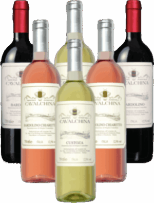 Cavalchina Probierpaket Bardolino, Chiaretto & Custoza Italien 6er Angebot