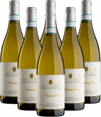 Amedeo Bianco di Custoza Superiore 6er Angebot Cavalchina Italien