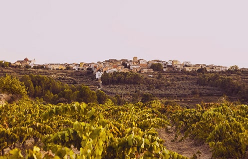 Celler Masroig