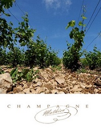 Champagne Serge Mathieu