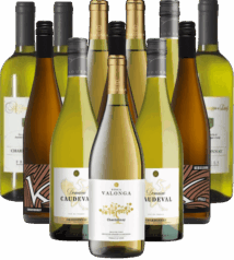 Chardonnay Probierpaket Weißwein Europa 12er Angebot