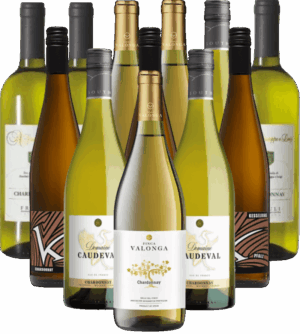 Chardonnay Probierpaket Weißweine aus Europa 12er Angebot