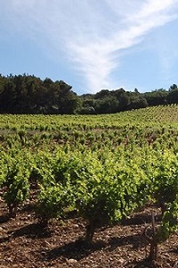 Domaine La Fagotiere