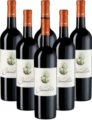 Di Camillo Contessa Camilla Montepulciano 6er Weinpaket 2022 Italien
