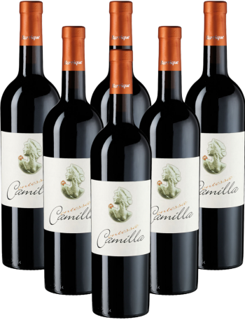 Di Camillo Contessa Camilla Montepulciano DOC Italien 6er Angebot Di Camillo Contessa Camilla Montepulciano DOC Italien 6er Angebot