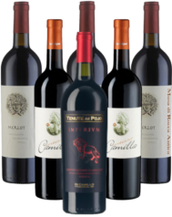 Di Camillo Vini Probierpaket Rotwein Italien 6er Angebot