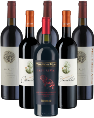 Di Camillo Probierpaket Barrique Rotweine aus Italien 6er Angebot