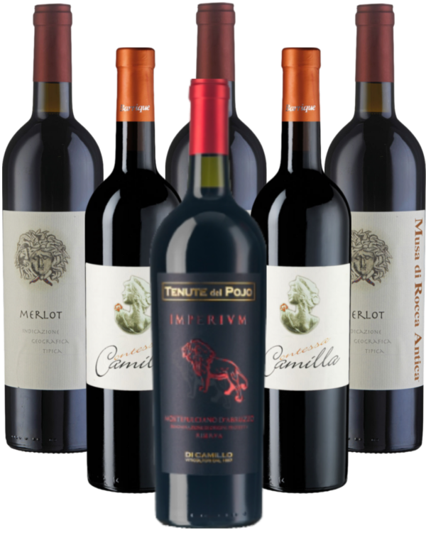 Di Camillo Vini Probierpaket Rotwein Italien 6er Angebot Di Camillo Vini Probierpaket Rotwein Italien 6er Angebot