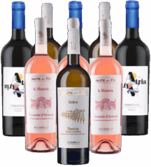 Di Camillo Weine Probierpaket Italien 9er Angebot