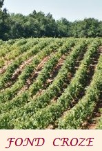 Domaine Fond Croze