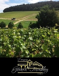 Domaine Gerard Tremblay