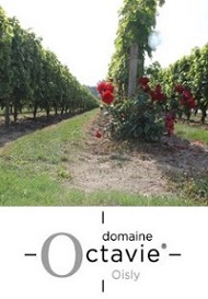 Domaine Octavie