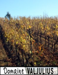 Domaine Valjulius