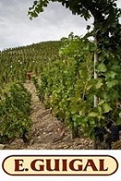 Domaine E. Guigal