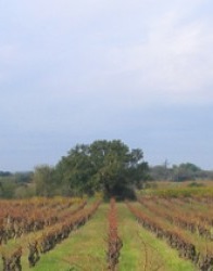 Domaine La Croix Saint-Roch