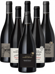 Fond Croze Rotwein Probierpaket 6er Angebot BIO