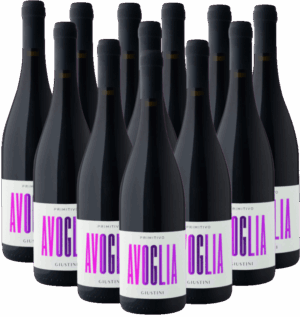 Giustini Primitivo Avoglia Rosso 12er Weinpaket Apulien 2024 Italien