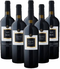 Giustini Probierpaket Rotweine aus Salento 6er Angebot Italien
