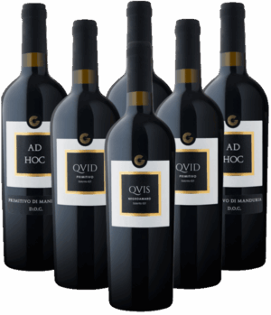 Giustini Probierpaket Rotweine aus Salento 6er Angebot Italien