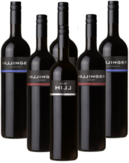 Leo Hillinger Rotwein Probierpaket Österreich 6er Angebot